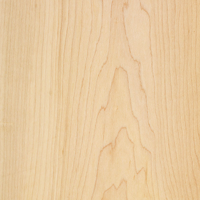 Wood Species - Maple